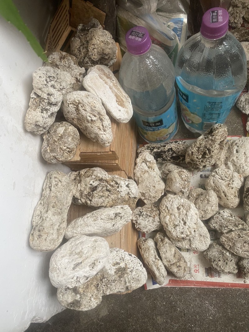 龙涎香，手里有很多，想要的报价，论斤称的别骚扰