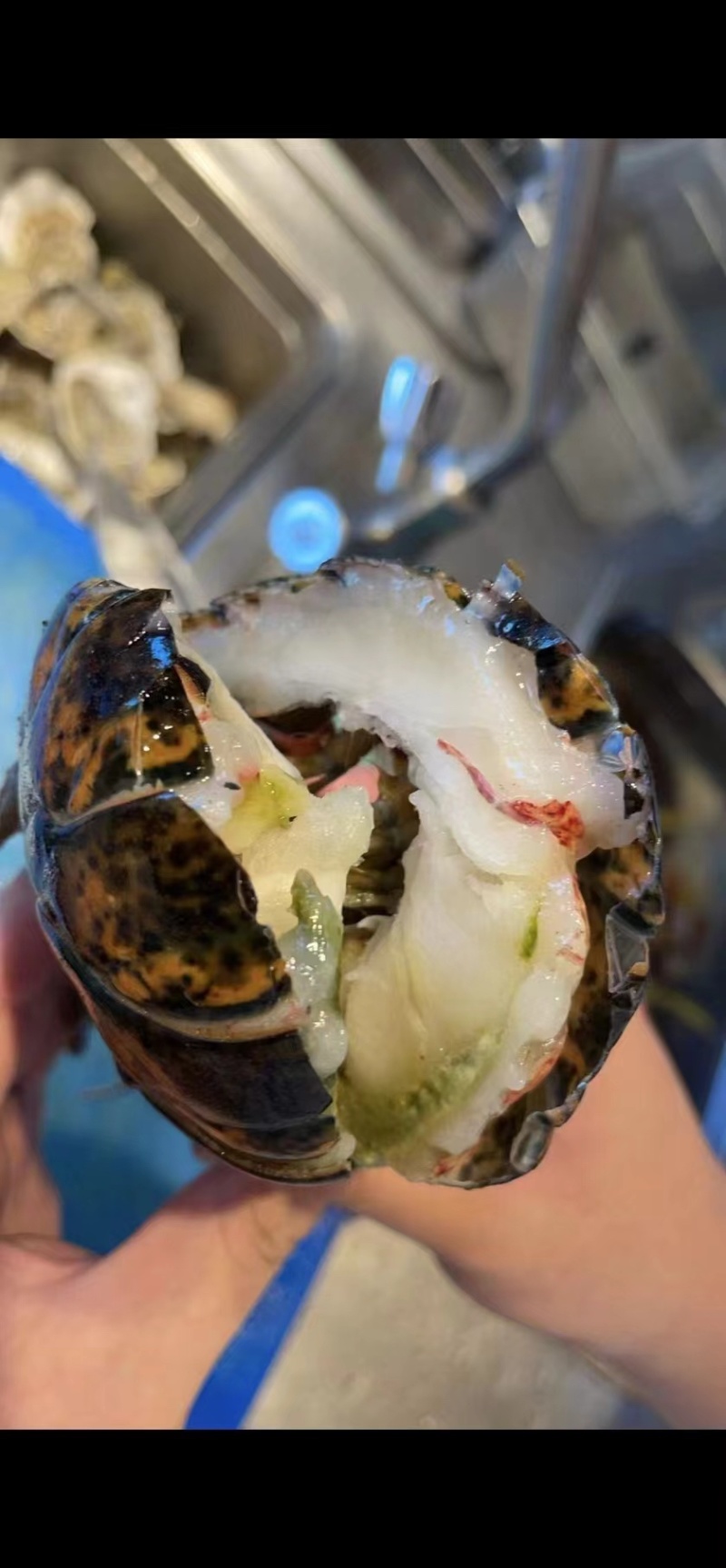 波士顿龙虾