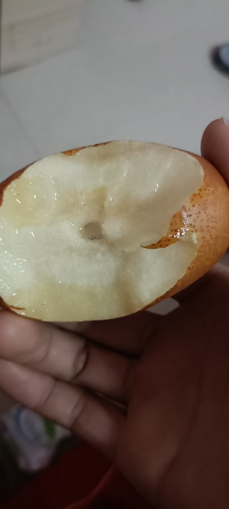洛宁沙梨。金珠果，欢迎广大客商现场考察，