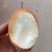 洛宁沙梨。金珠果，欢迎广大客商现场考察，