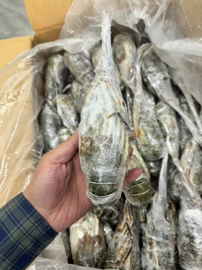 青龙