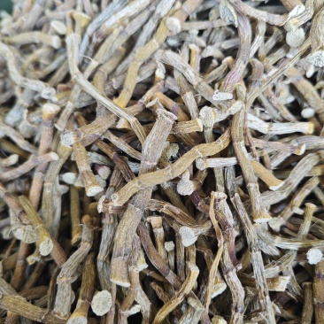 正宗铁皮石斛干条4年仿野生食用特级铁皮石斛花茶鲜条枫斗可