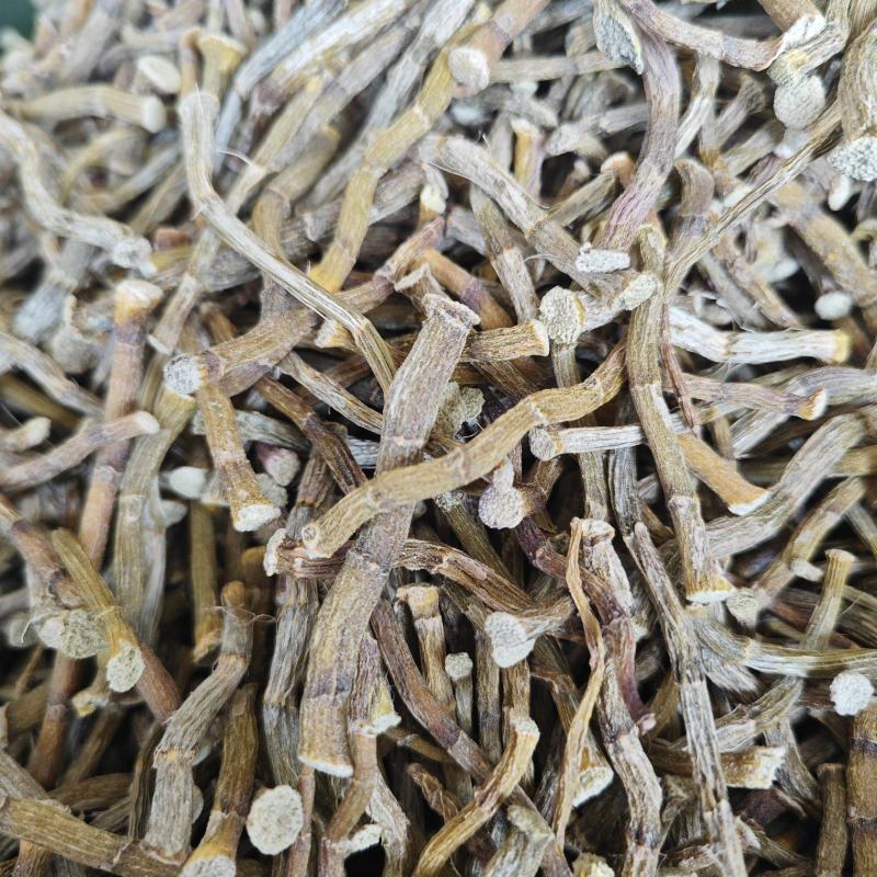 正宗铁皮石斛干条4年仿野生食用特级铁皮石斛花茶鲜条枫斗可