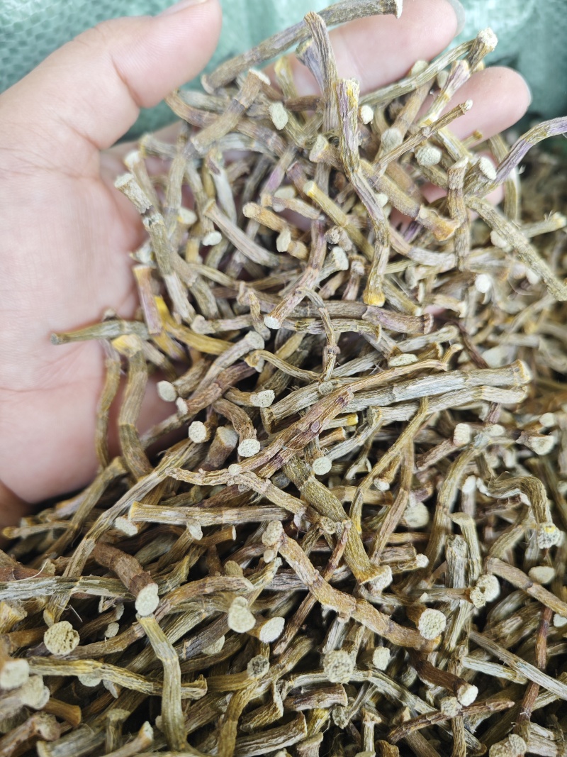 正宗铁皮石斛干条4年仿野生食用特级铁皮石斛花茶鲜条枫斗可