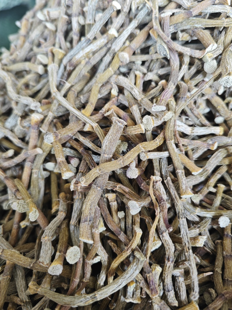 正宗铁皮石斛干条4年仿野生食用特级铁皮石斛花茶鲜条枫斗可