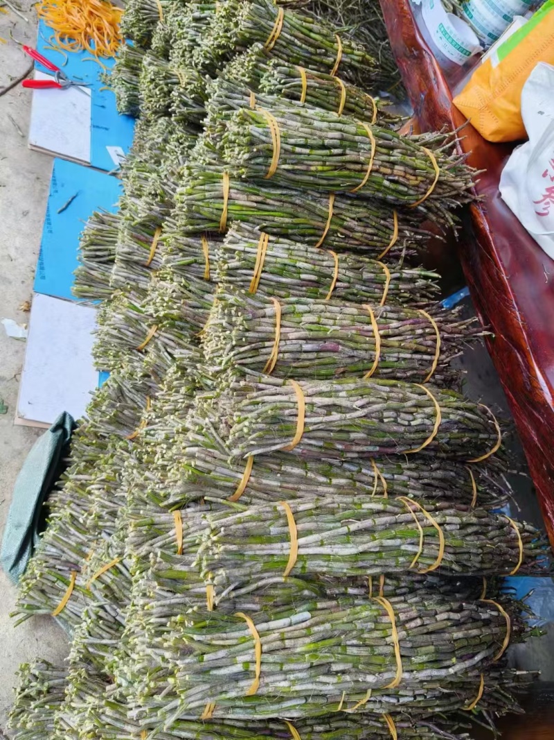 正宗铁皮石斛干条4年仿野生食用特级铁皮石斛花茶鲜条枫斗可