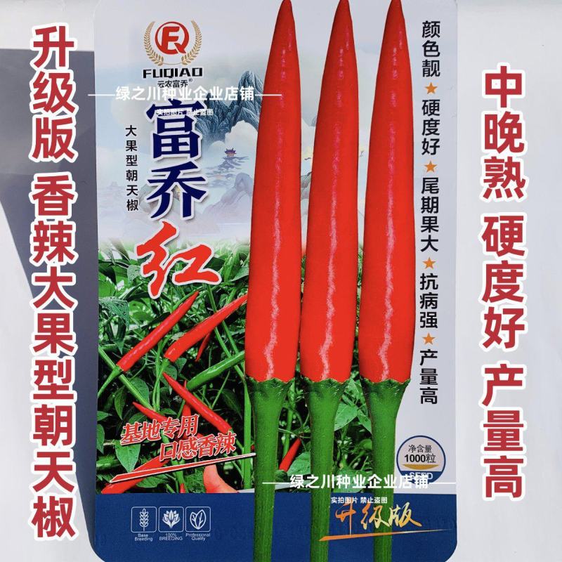 泰国引进富乔红朝天椒种子大号中晚熟单生大果朝天椒种子香辣