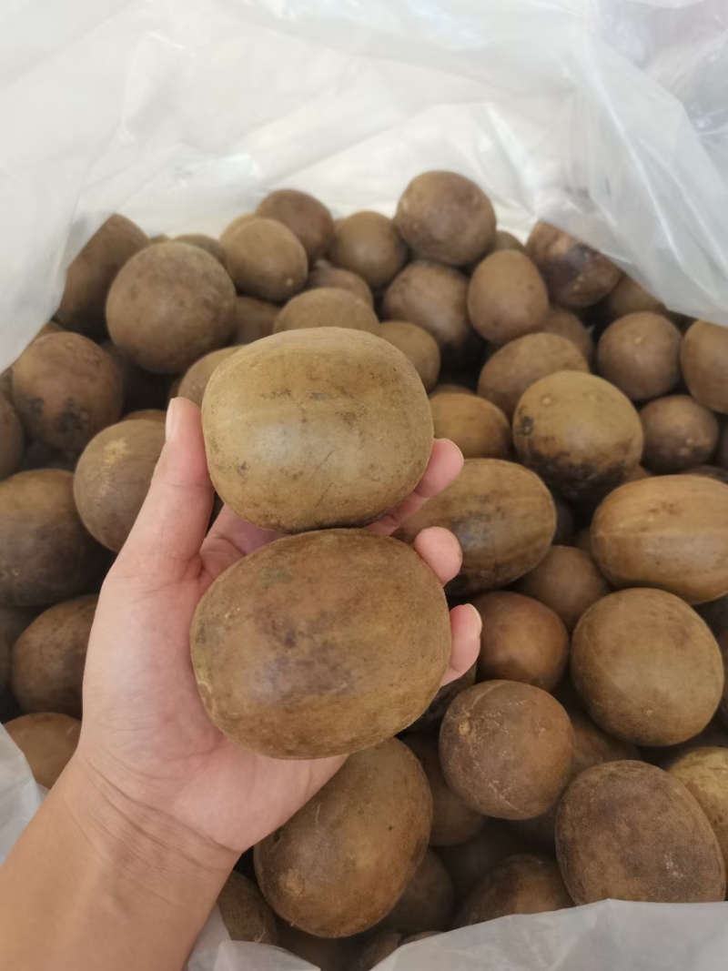 特色罗汉果长期有货超高性价比品质保障