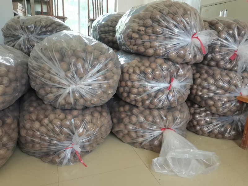 特色罗汉果长期有货超高性价比品质保障
