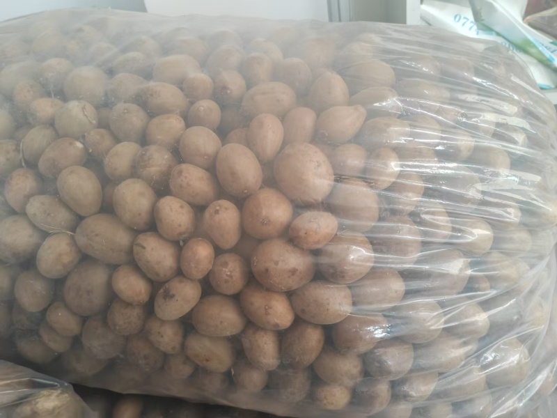 特色罗汉果长期有货超高性价比品质保障