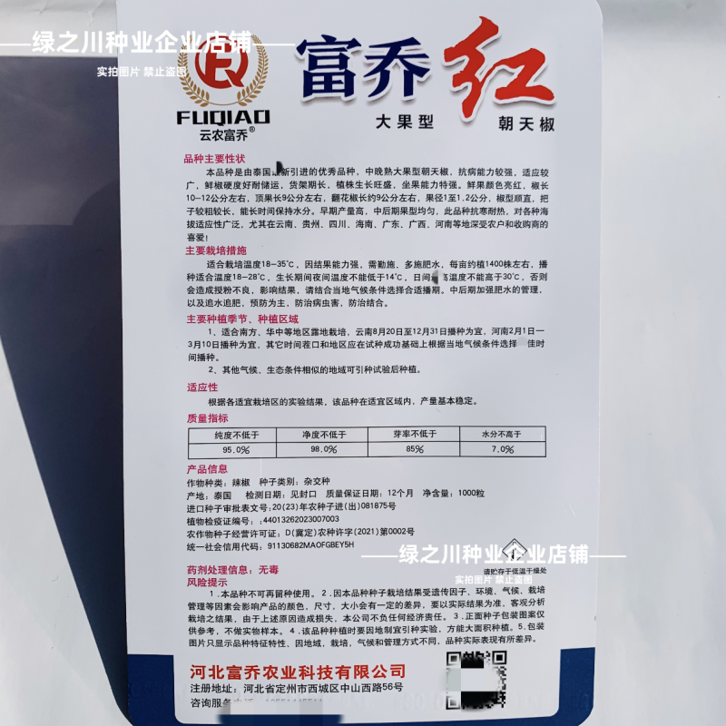泰国引进富乔红朝天椒种子大号中晚熟单生大果朝天椒种子香辣