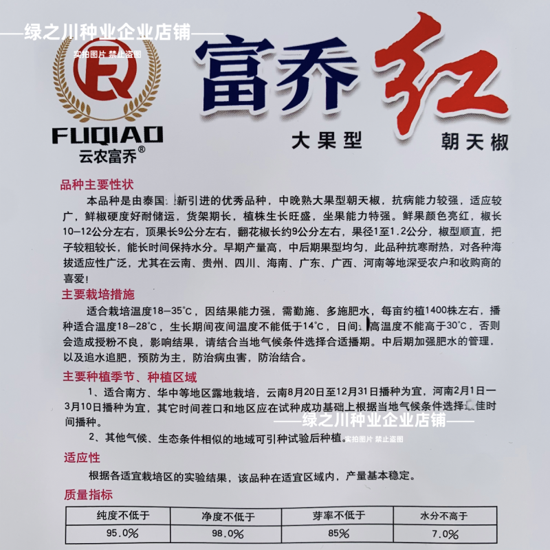 泰国引进富乔红朝天椒种子大号中晚熟单生大果朝天椒种子香辣