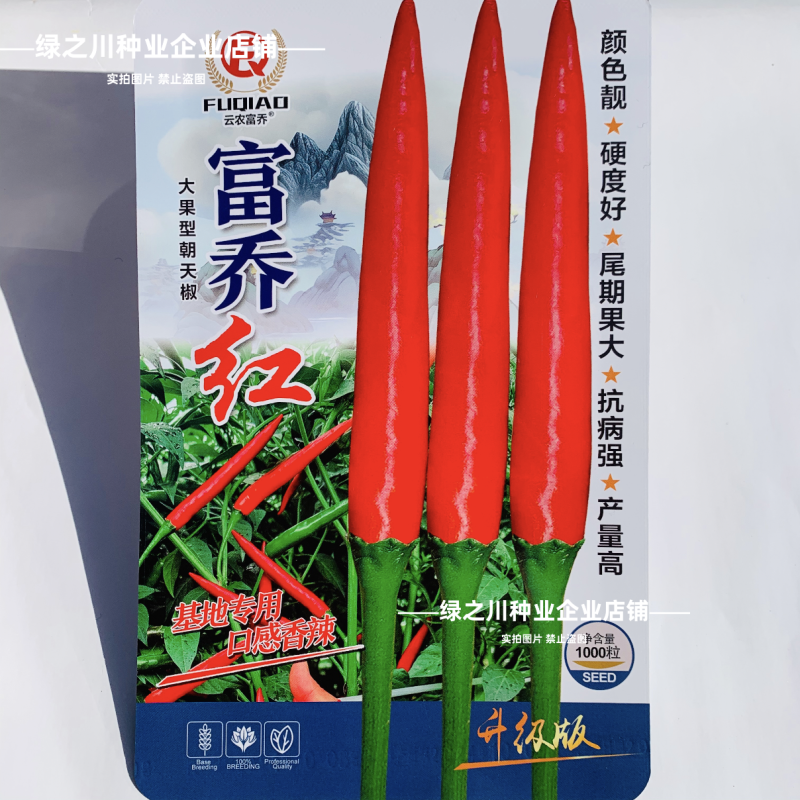 泰国引进富乔红朝天椒种子大号中晚熟单生大果朝天椒种子香辣