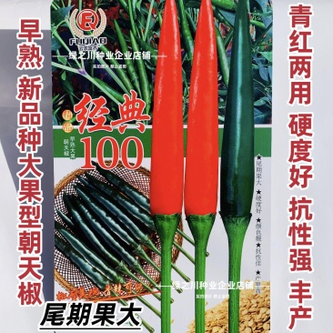 富乔经典100朝天椒种子新品种泰国朝天辣椒种子早熟大果