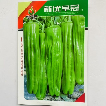 徽娇新优早冠辣椒种子浅绿色长灯笼形辣椒种子大果型薄皮泡椒