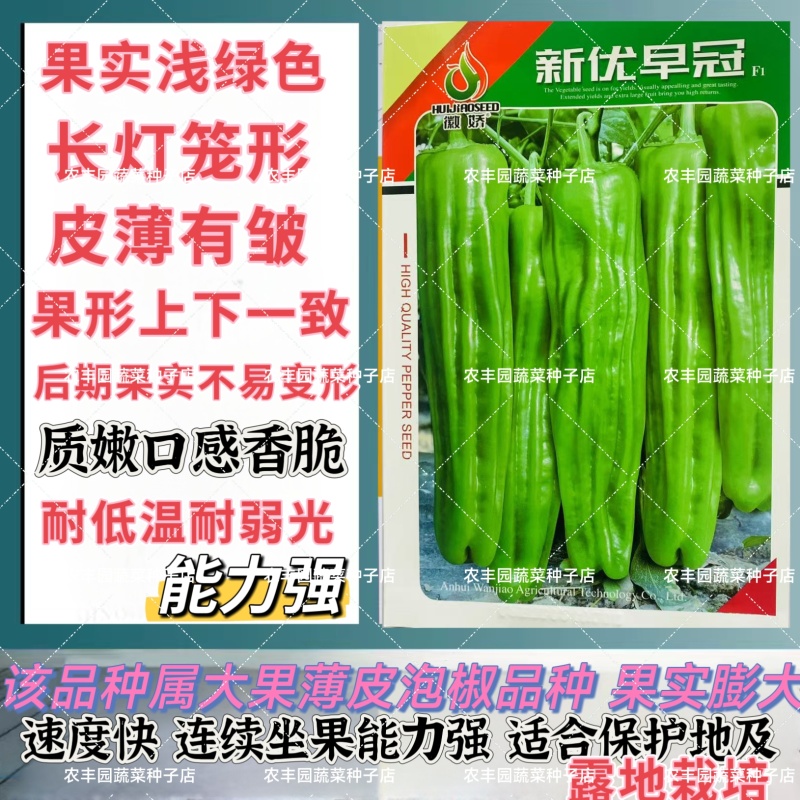 徽娇新优早冠辣椒种子浅绿色长灯笼形辣椒种子大果型薄皮泡椒