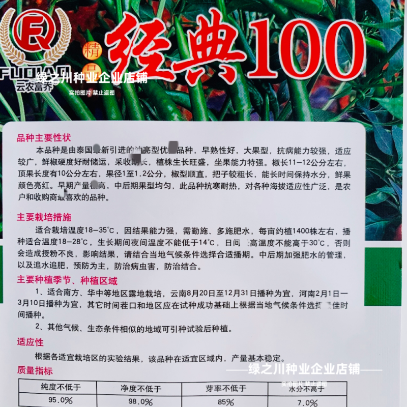 富乔经典100朝天椒种子新品种泰国朝天辣椒种子早熟大果