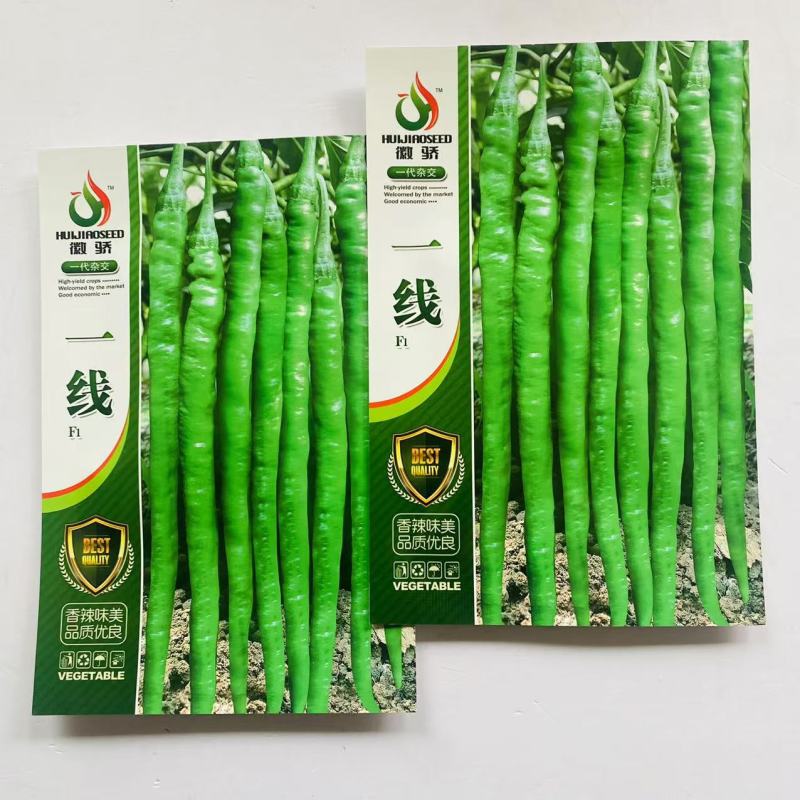 徽骄一线辣椒种子早熟高产长果条椒种子抗性强香辣味美长线椒