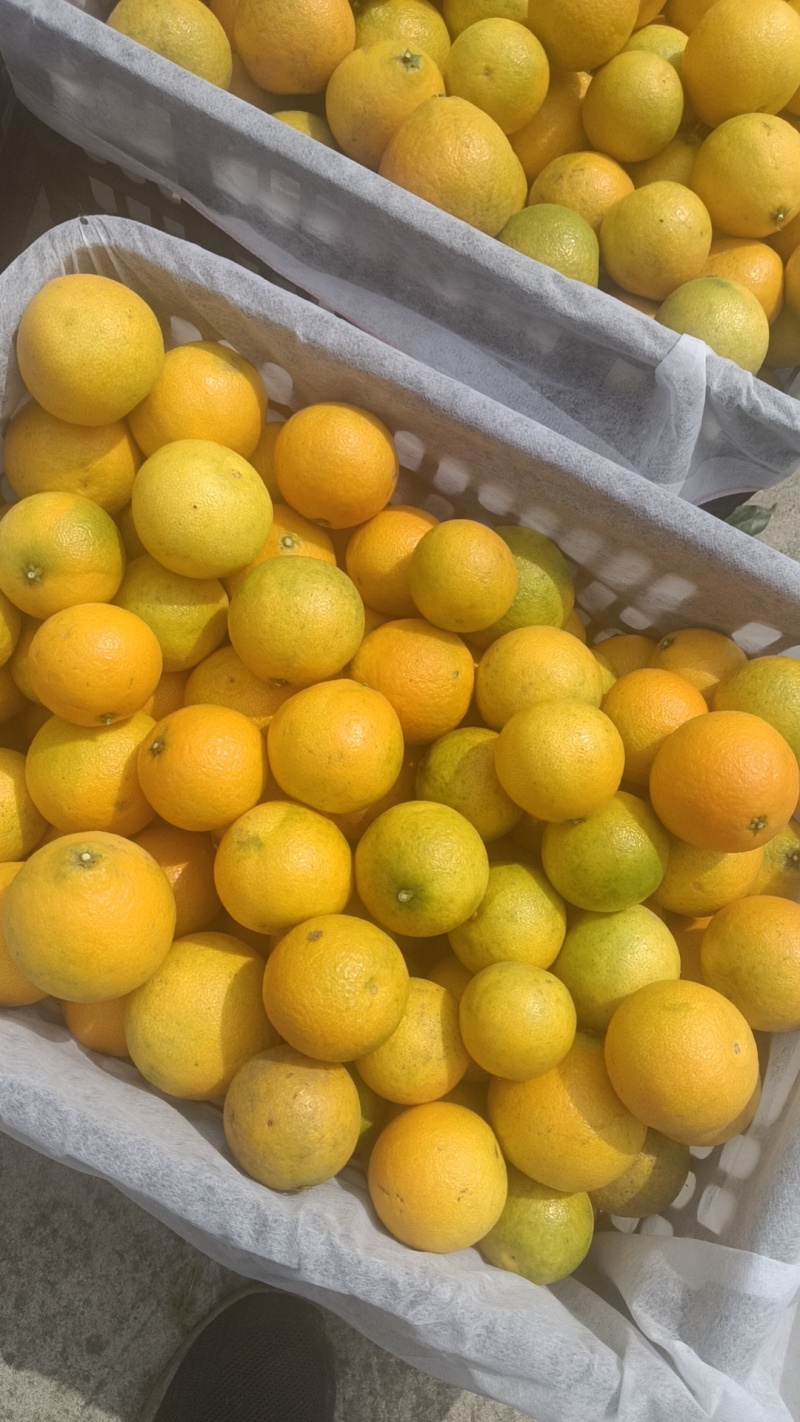 爱圆电商货大量上市了有要的联系我