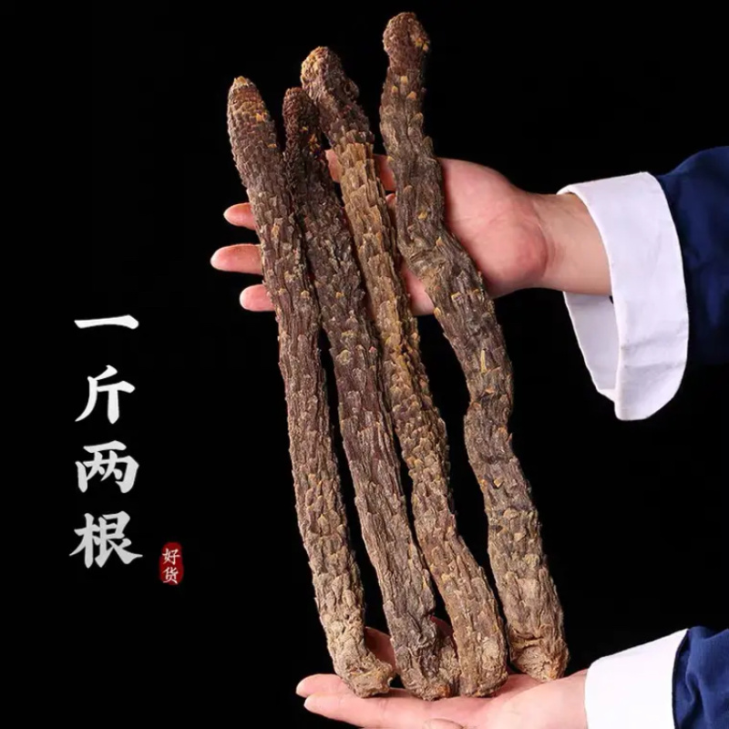 肉苁蓉泡酒泡茶入药各种规格油性十足可切片价格优惠