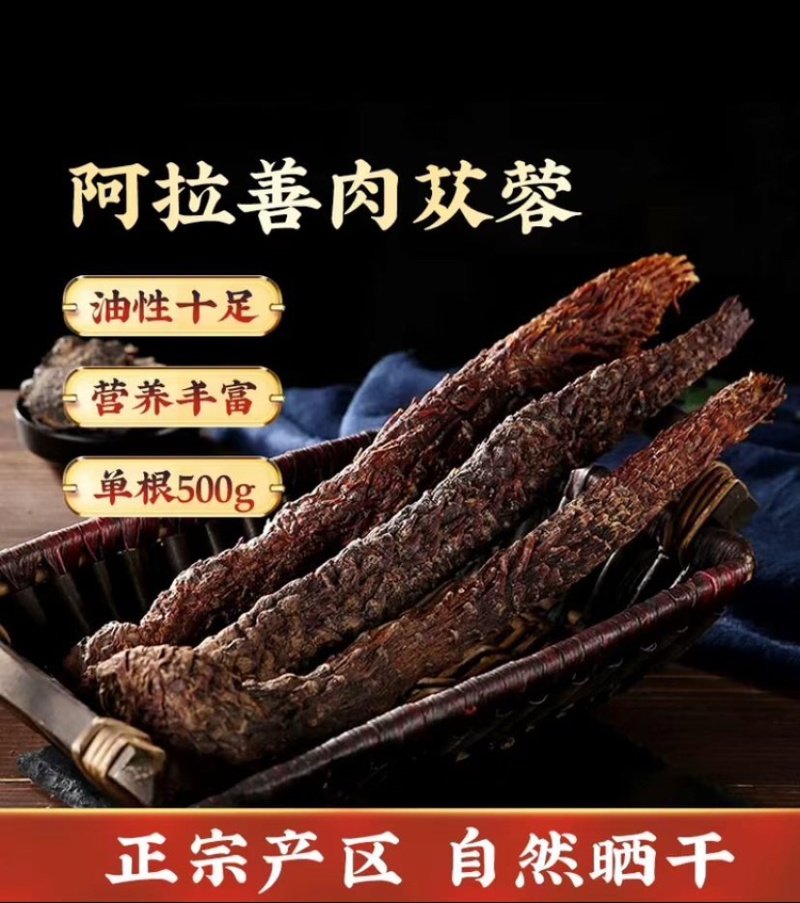 肉苁蓉泡酒泡茶入药各种规格油性十足可切片价格优惠