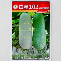 白星102冬瓜种子迷你小冬瓜绿肉小节瓜种籽起腊粉毛节瓜蔬