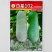 白星102冬瓜种子迷你小冬瓜绿肉小节瓜种籽起腊粉毛节瓜蔬