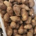 沂蒙山精品毛芋头8520豆包奶油芋头