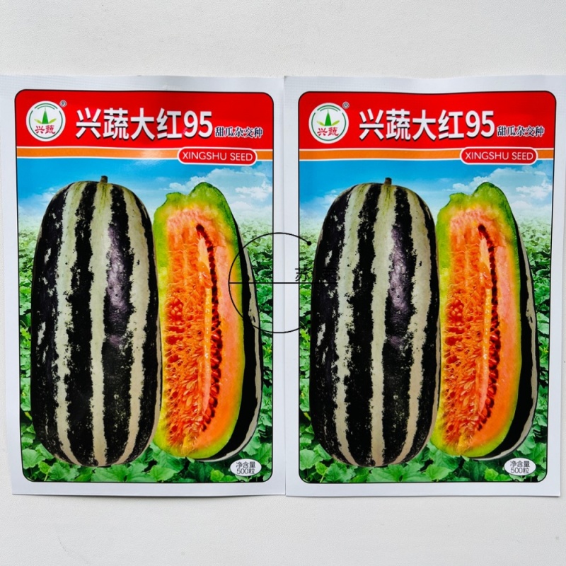 兴蔬大红95杂交甜瓜种子薄皮厚肉黄绿色果肉酥脆香甜抗病