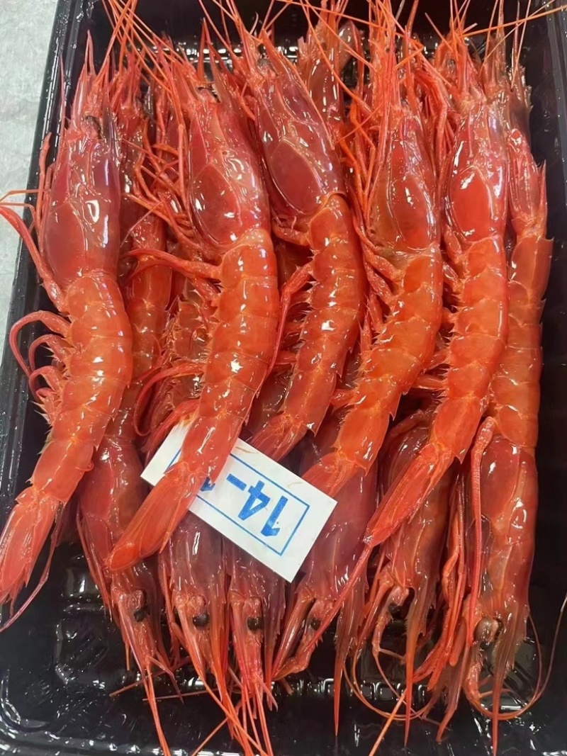 红魔虾