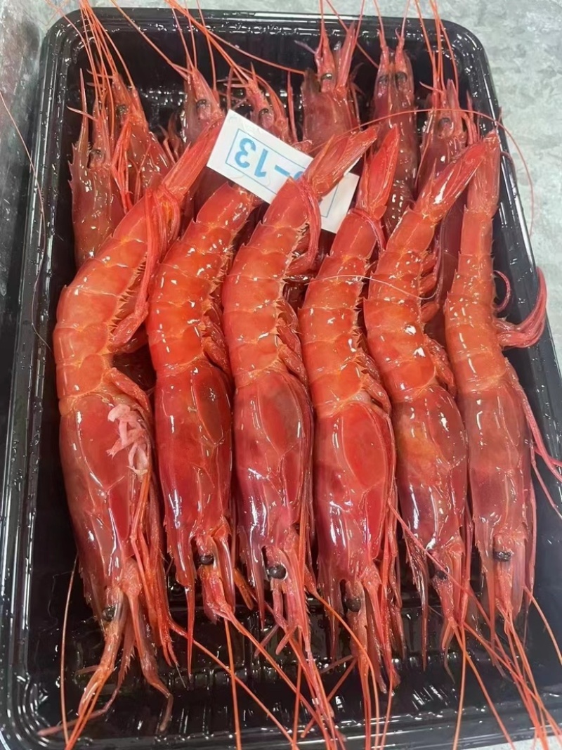 红魔虾