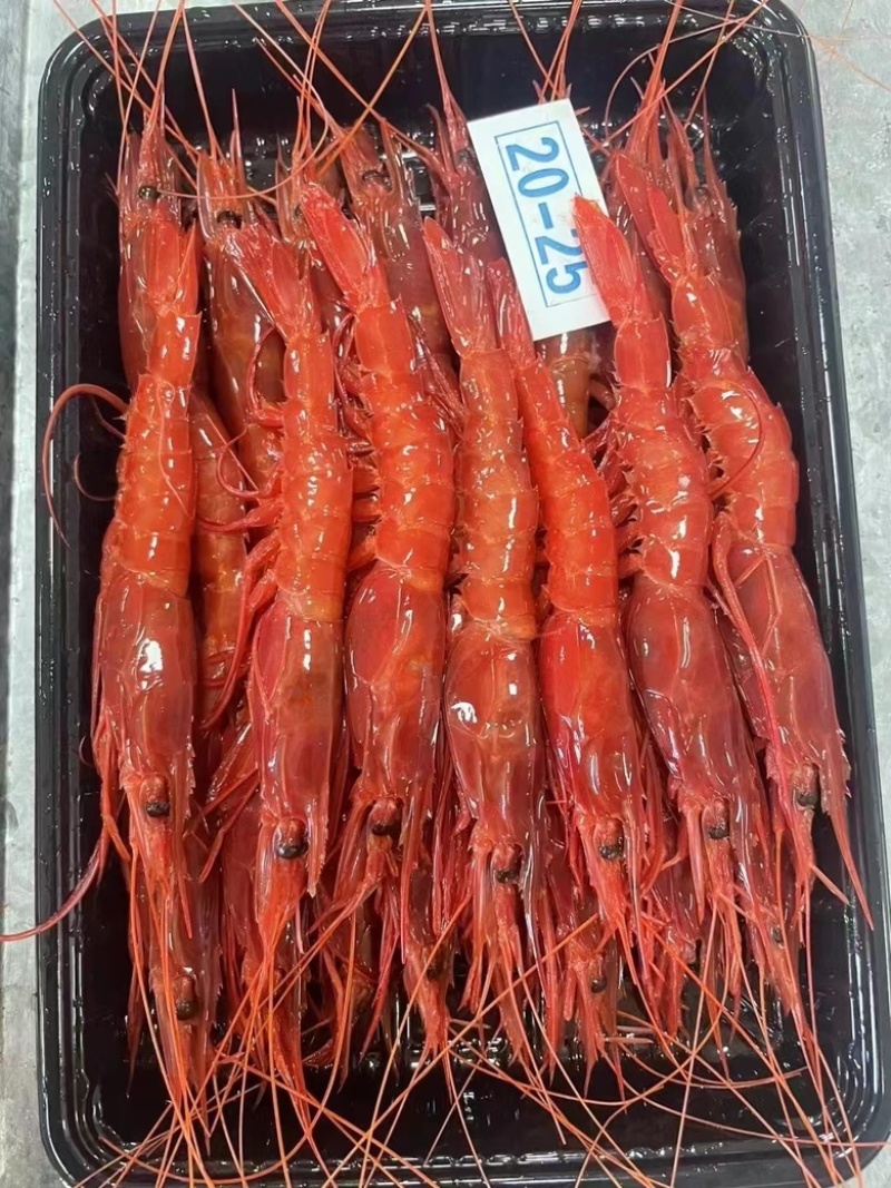 红魔虾