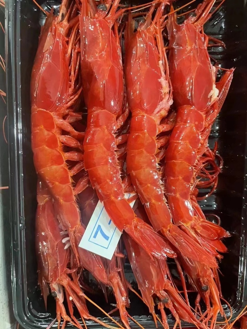 红魔虾