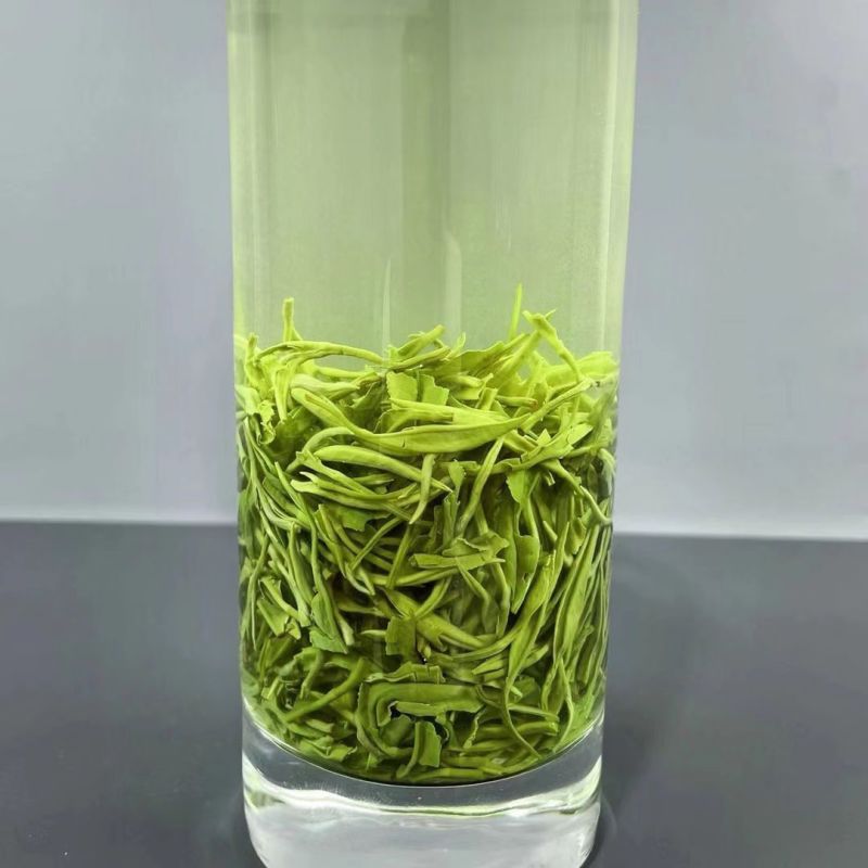 郁金香茶苗成活率高现挖现发品质保证质优价廉