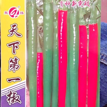 辣椒种子天下**椒育种新突破青红两用辣香结果多