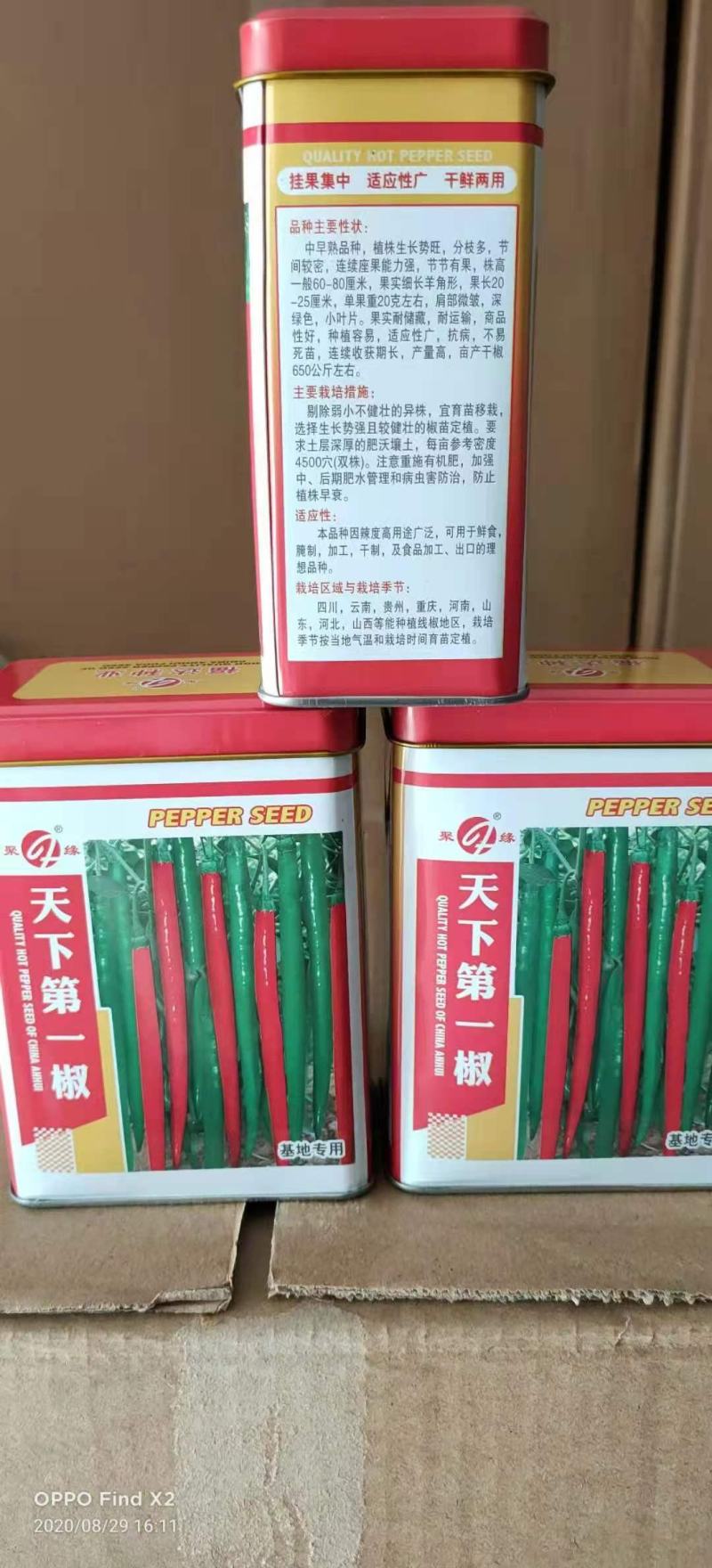 辣椒种子天下**椒育种新突破青红两用辣香结果多