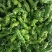 芜湖椒一手资源产地直发对接全国市场