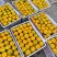精品红皮萝卜，有质有量，诚信交易，合作共赢