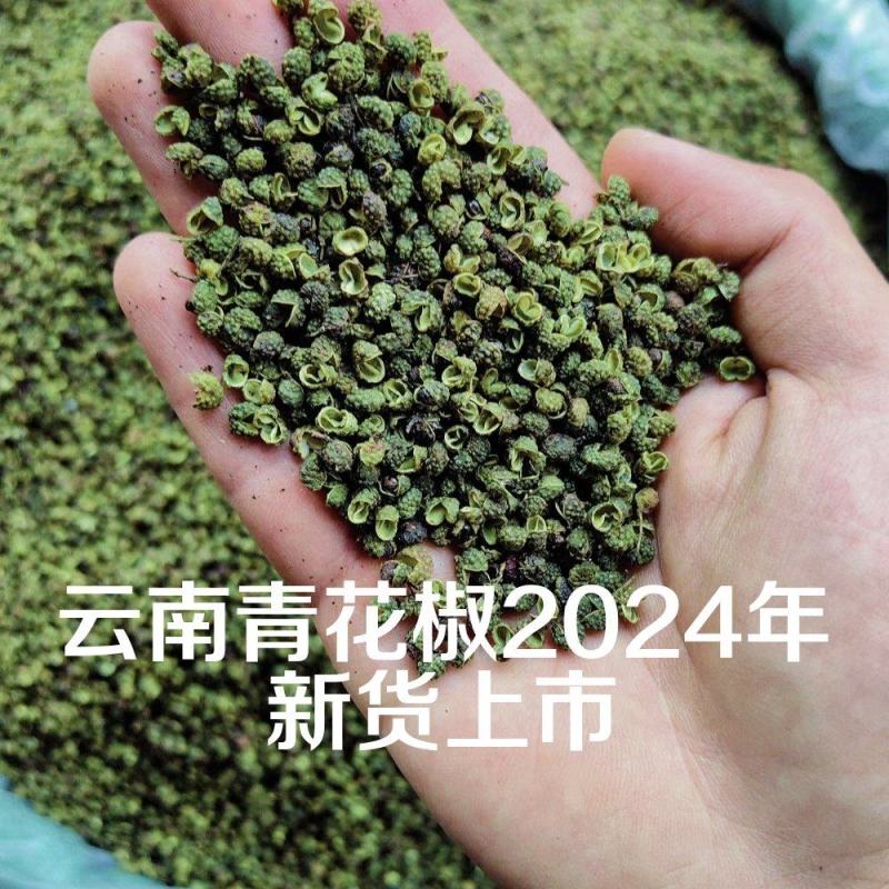 云南麻椒花麻很香新货青花椒粉厨房调味料精选干货