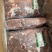 丰源牛腩肉牛肉厂家直发质量保证售后无忧量大优惠