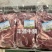 丰源牛腩肉牛肉厂家直发质量保证售后无忧量大优惠