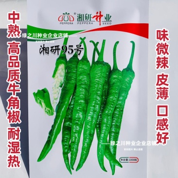 湘研95号辣椒种子软皮牛角椒种子中熟香辣高产微辣皮薄