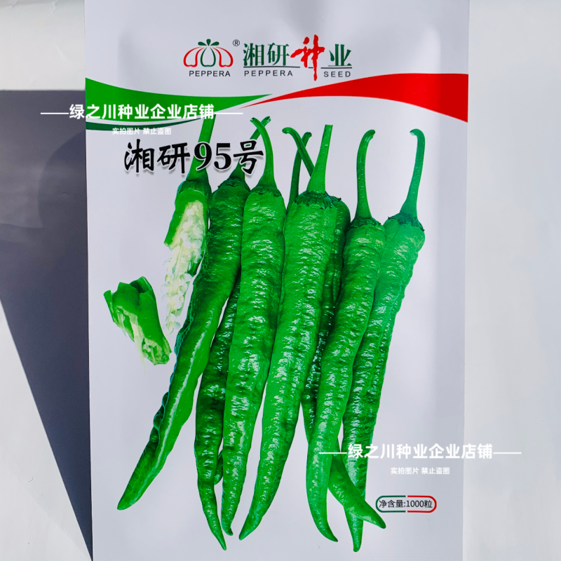 湘研95号辣椒种子软皮牛角椒种子中熟香辣高产微辣皮薄