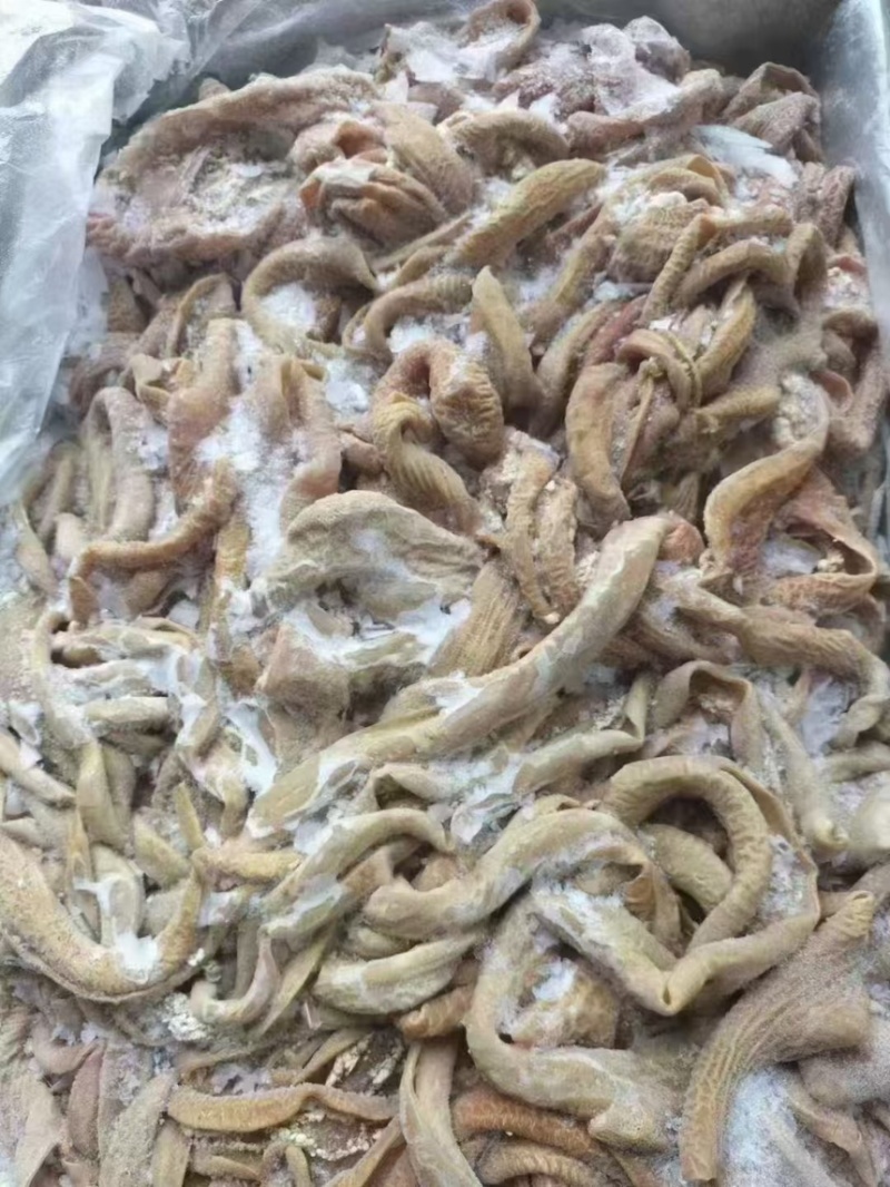 丰源牛小肠价格美丽质量保证售后无忧一件也是批发价