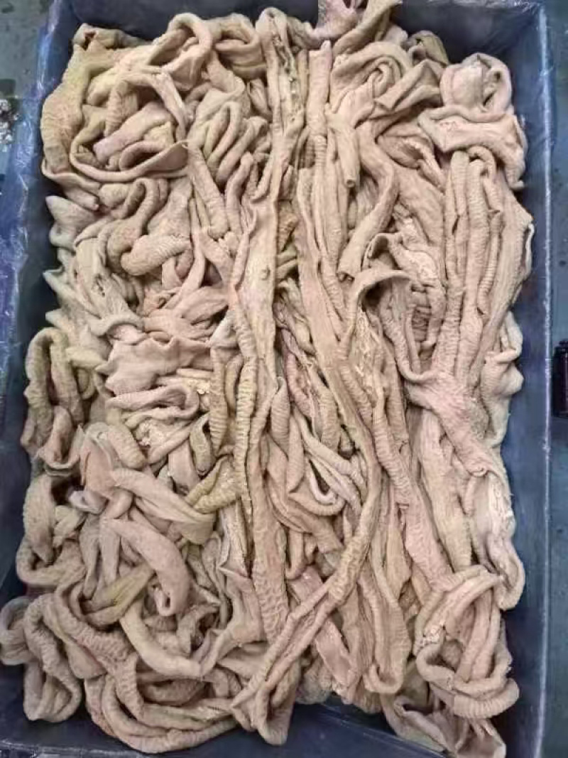 丰源牛小肠价格美丽质量保证售后无忧一件也是批发价