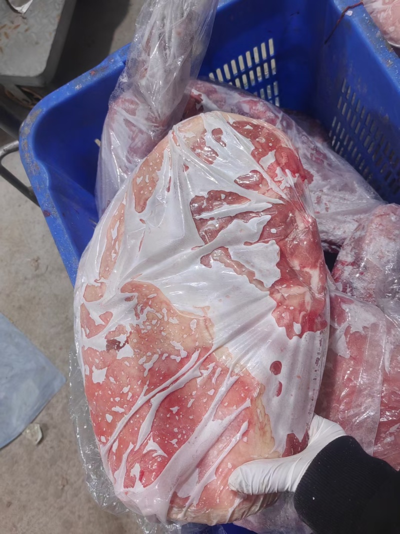大羊排15一斤一件起发货真价实大量现货
