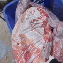 大羊排15一斤一件起发货真价实大量现货