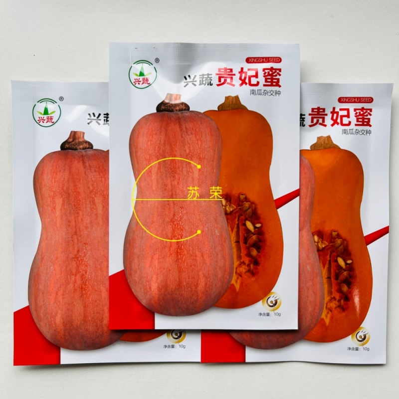 兴蔬贵妃蜜中熟奶油南瓜种子果表光滑果肉深黄色口感粉甜细腻