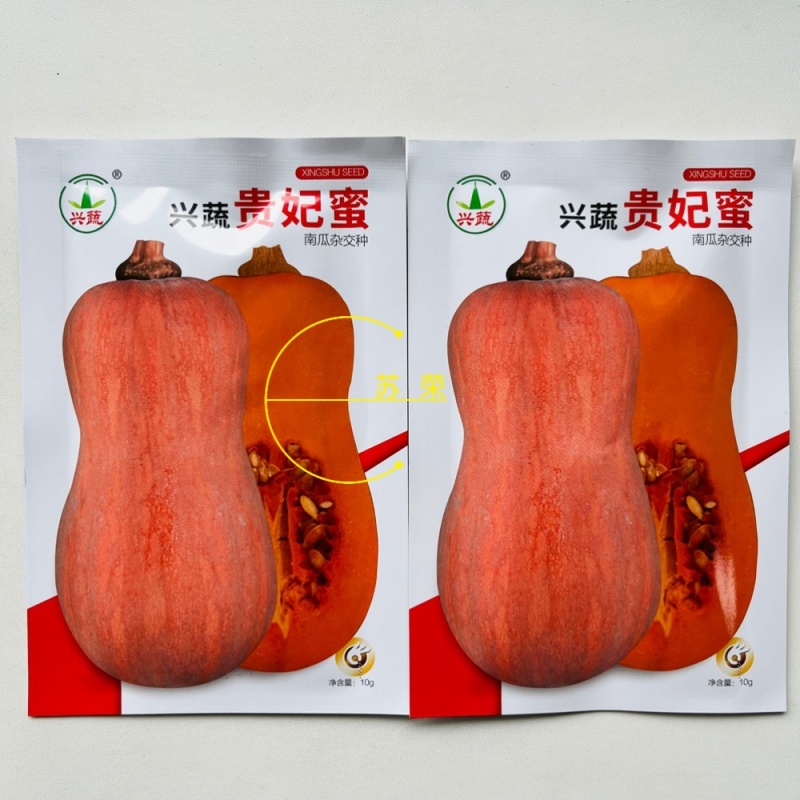 兴蔬贵妃蜜中熟奶油南瓜种子果表光滑果肉深黄色口感粉甜细腻