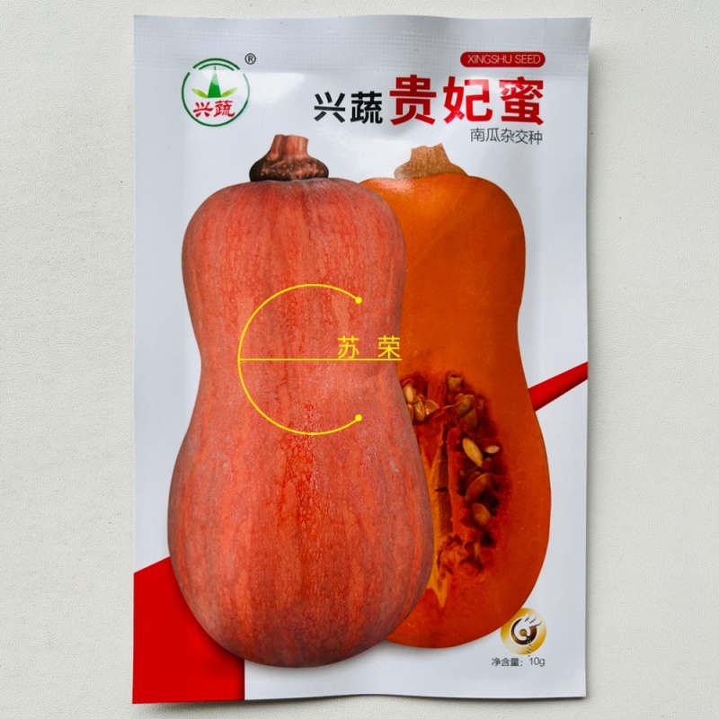 兴蔬贵妃蜜中熟奶油南瓜种子果表光滑果肉深黄色口感粉甜细腻